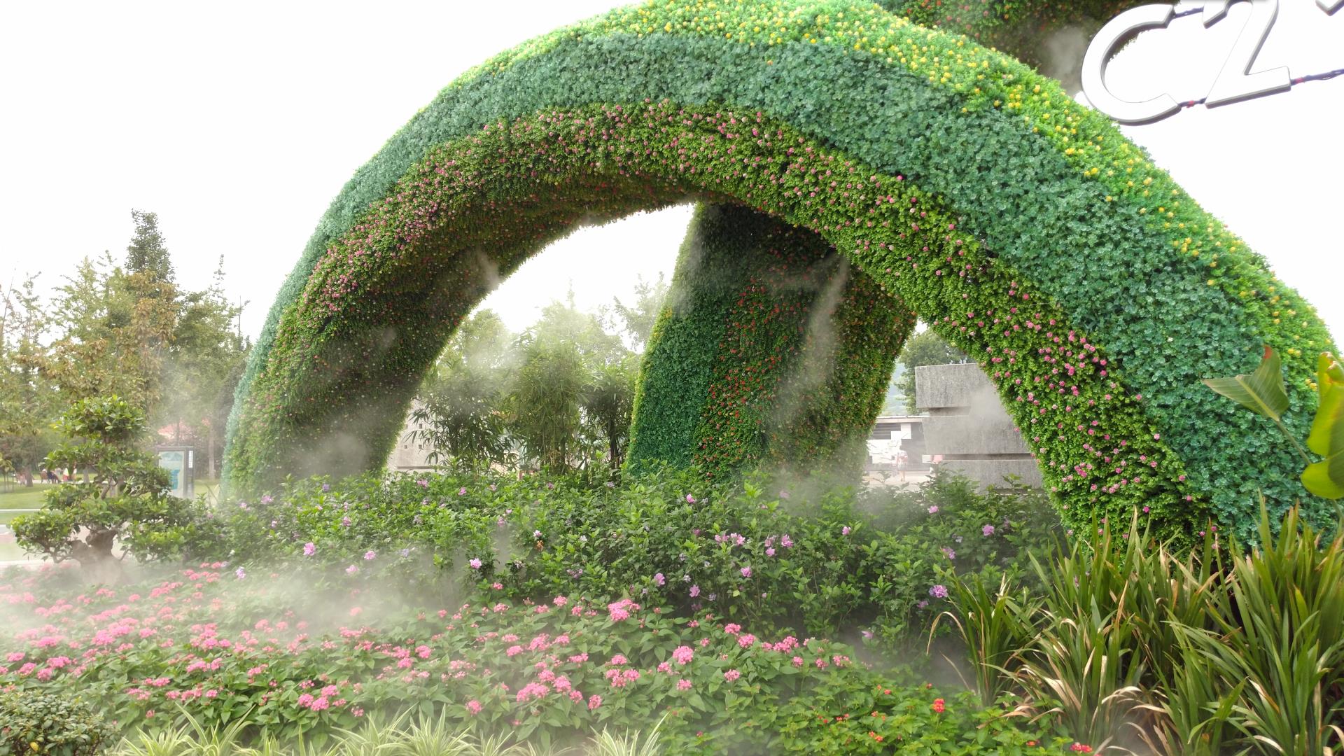 情结白话,中兴天机7找不见了