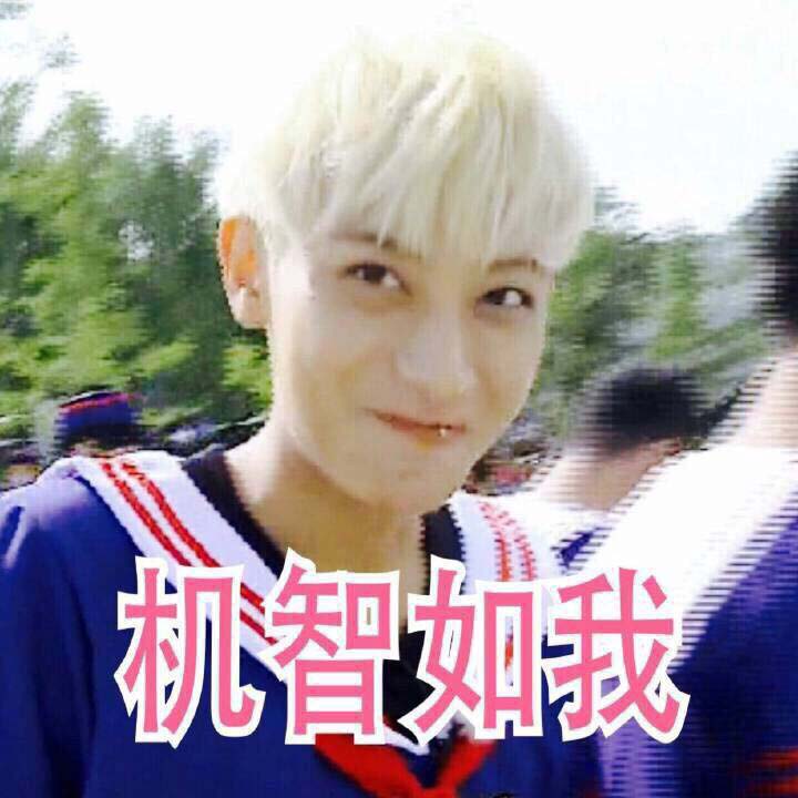 支付宝积分兑换攻略,支付宝1千积分能换什么