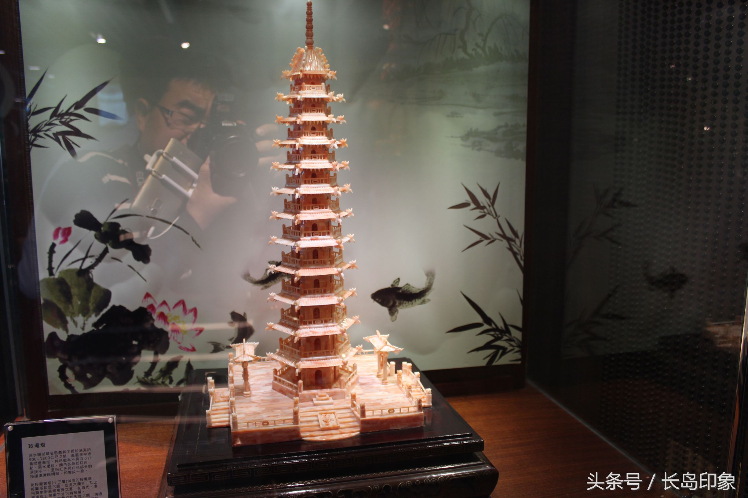 红珊瑚台湾寓意,台湾红珊瑚和日本红珊瑚的区别