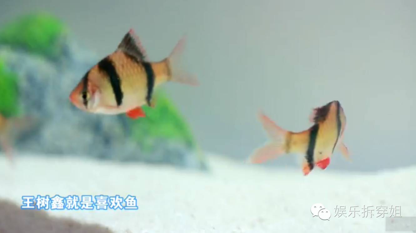 青山周平改装,青山周平的房子