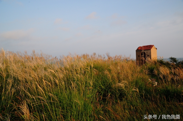 澶ц繛绾㈠矝,澶ц繛甯傞噾宸炲尯绾㈠矝