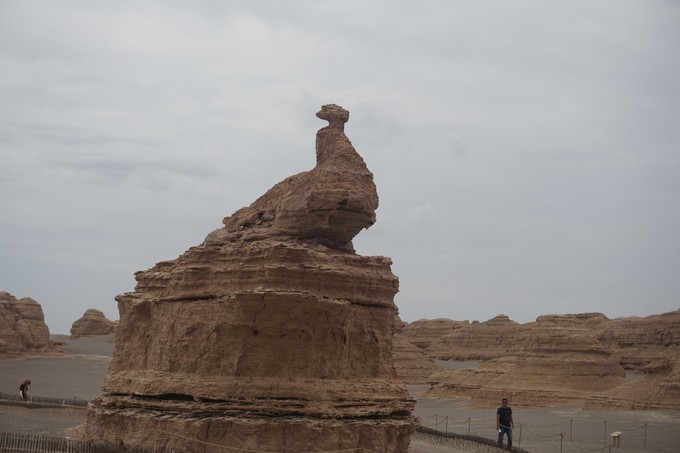 青海大西北之旅 (西宁青海湖张掖敦煌夏季之旅)