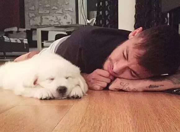 梅西狗狗,c罗和梅西家的顶级恶犬