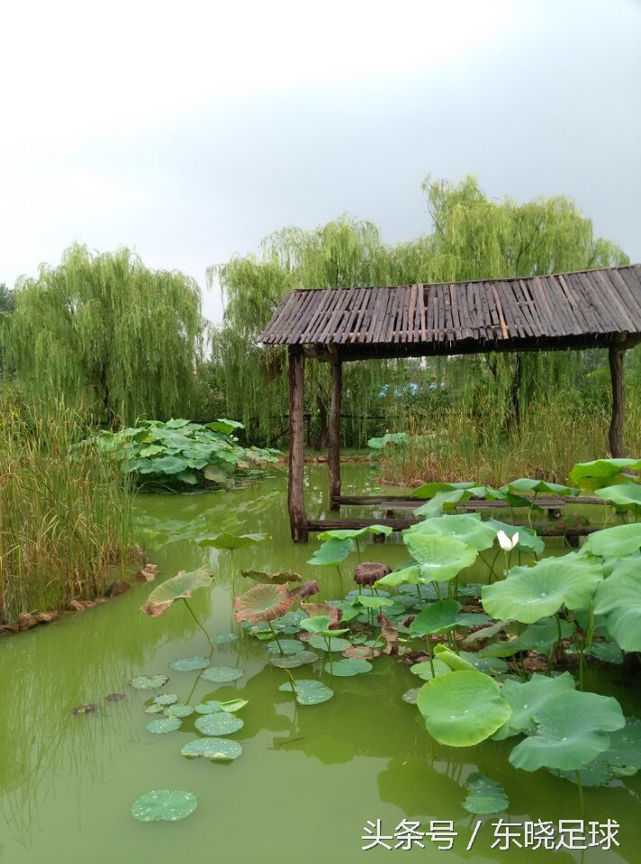 临沂新青年足球队,临沂青少年足球俱乐部