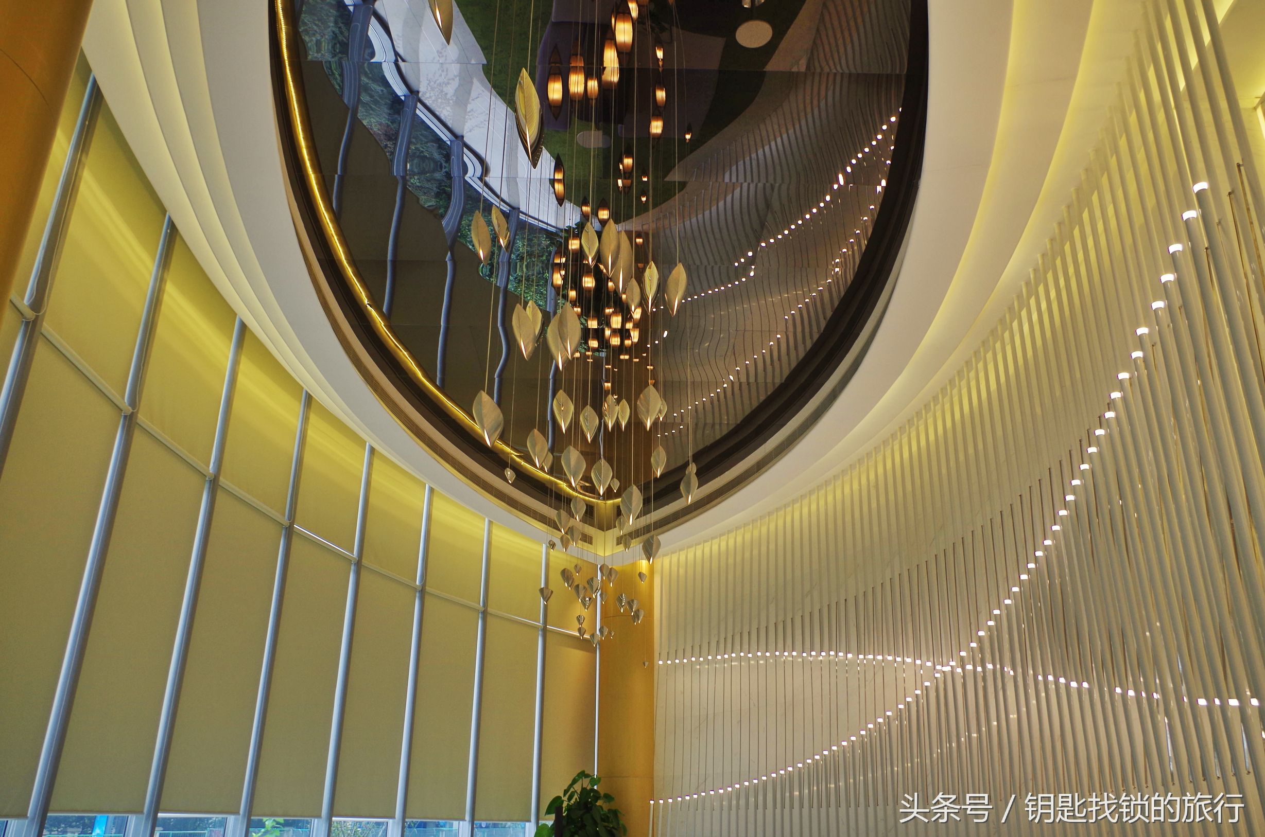 来苏州不去拙政园可以去哪里,去苏州不去景点可以到什么地方耍