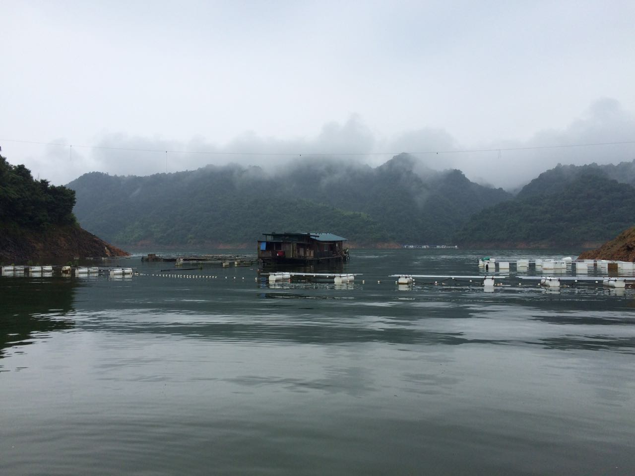 五强溪探钓大物,五强溪筏钓比赛