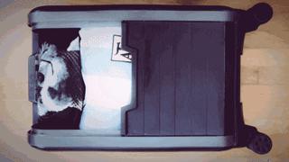 不买RIMOWA，优质好用的行李箱要怎么挑？