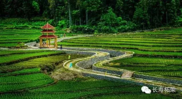 柘荣县旅游必去十大景点,柘荣县楮坪乡景点