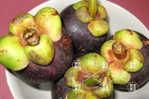 吃山竹的正确打开方法,吃山竹要注意的事项