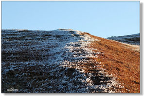 广东的草原在哪,广东附近哪里有草原