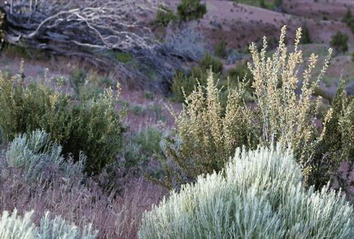 冬季跑步十大禁忌,跑步十大危险征兆