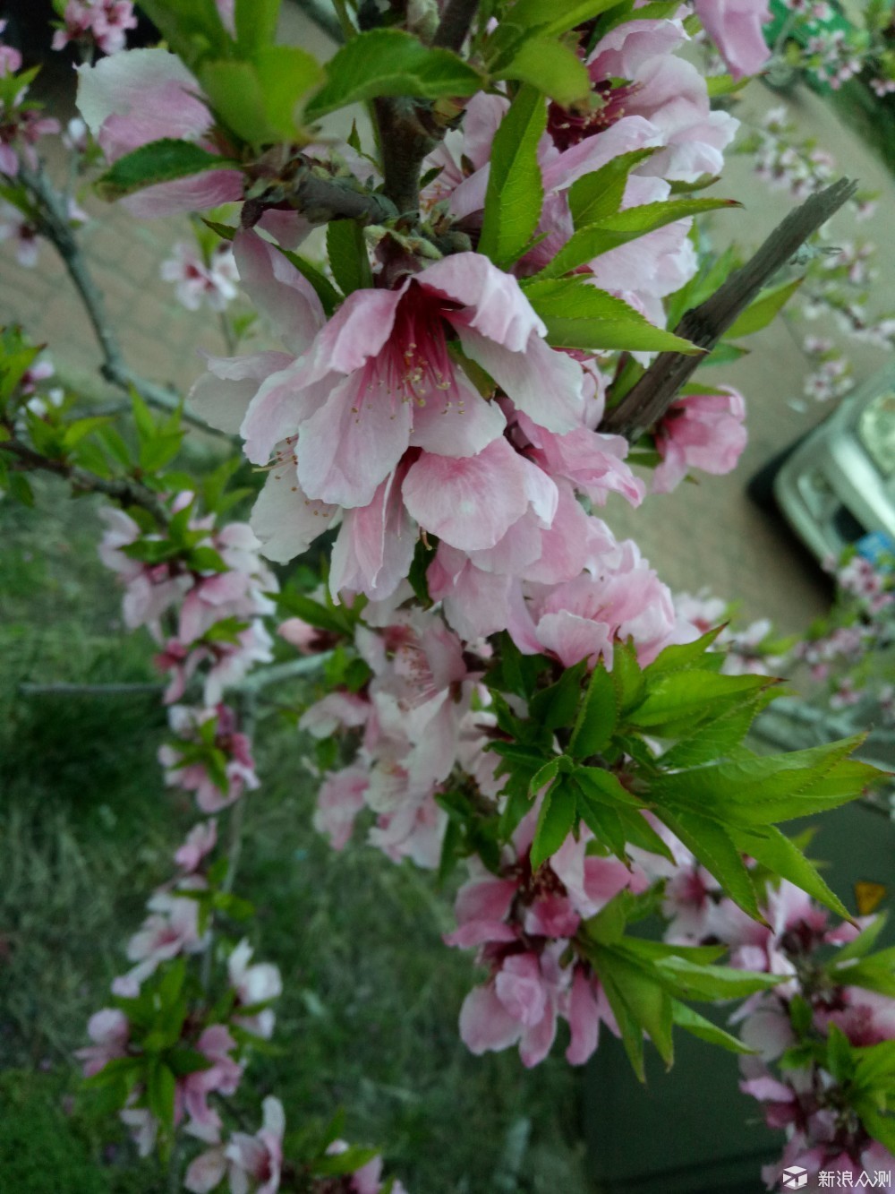 一代最经典的oppor9手机,充电快的oppo手机推荐