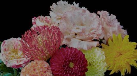 海信实力高光时刻,海信从孤注一掷到全面出击