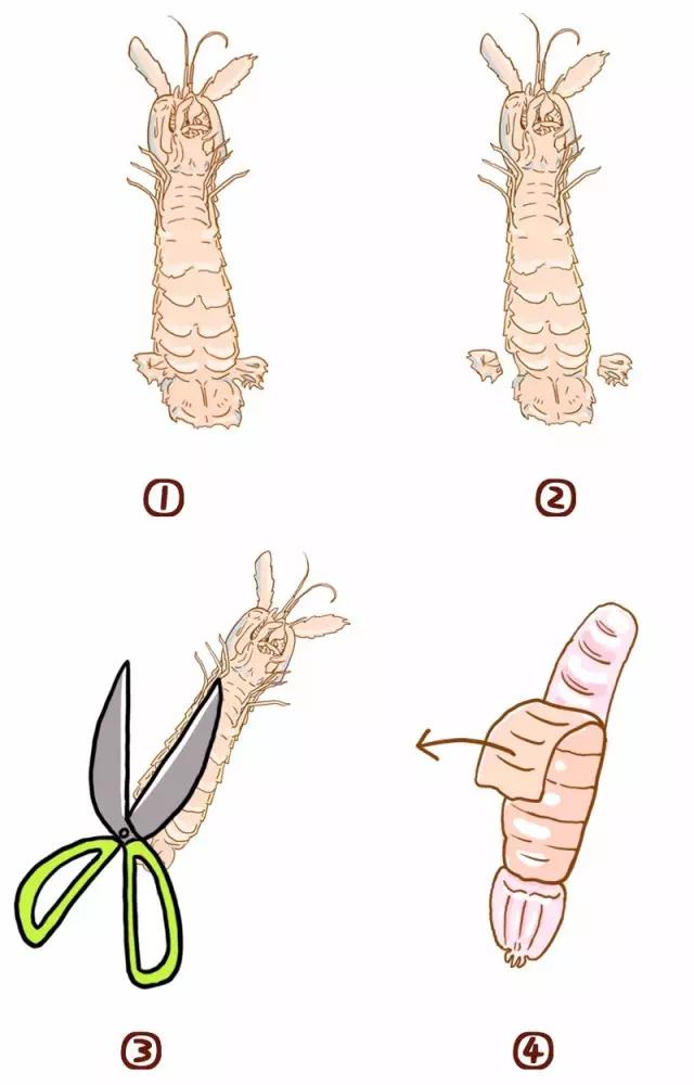 熟皮皮虾扎到手怎么办,怎么吃皮皮虾不会扎到手
