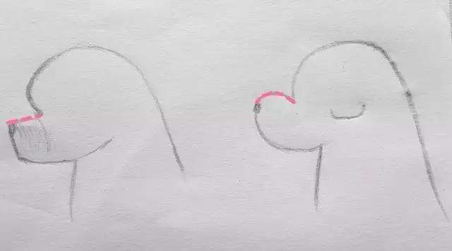 比熊标准装,比熊赛级造型