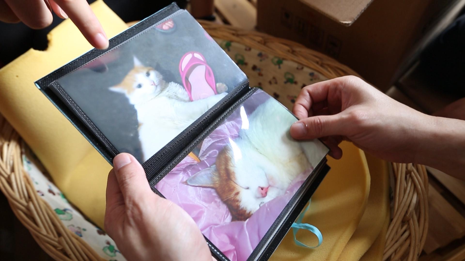 梦想改造家王平仲视频完整版,梦想改造家王平仲