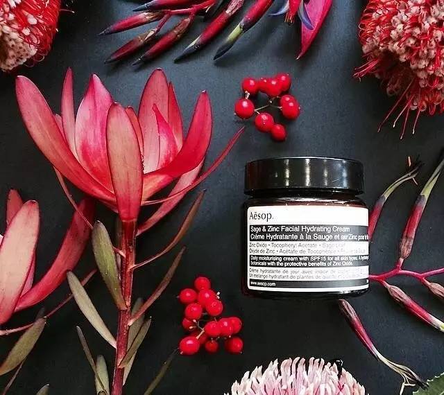 伊索aesop护肤品怎么样,澳洲aesop伊索香芹籽