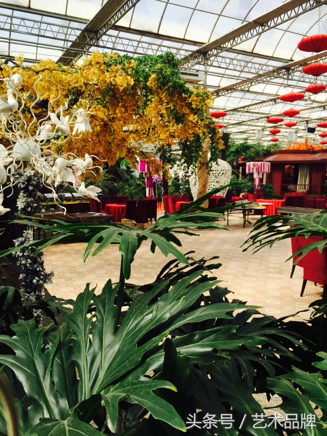 青海景熙丰,青海西宁景熙丰湿地生态园