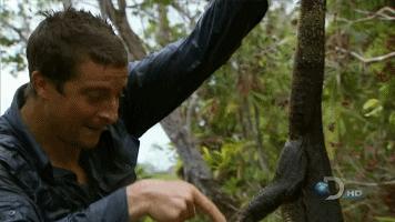 尴尬癌是不是都要犯了,尴尬癌又犯了怎么办