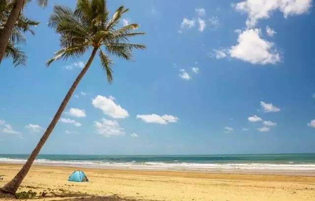 考拉、热气球和现实版的天空之城，这就是凯恩斯