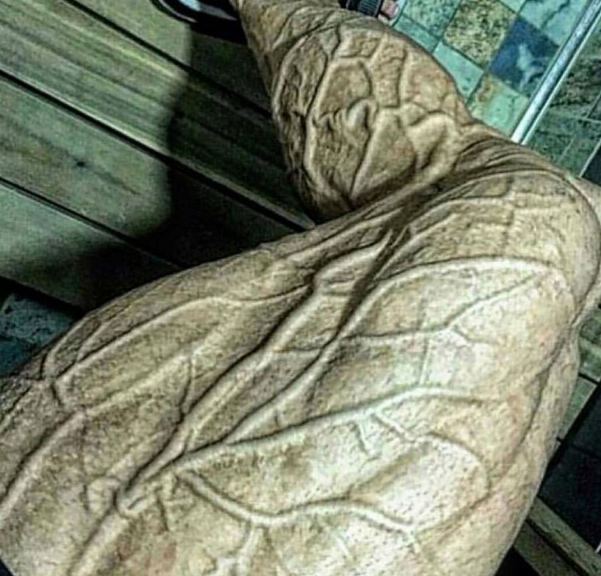 健身身上爆出来的是青筋还是血管,为什么健身的人都青筋暴起