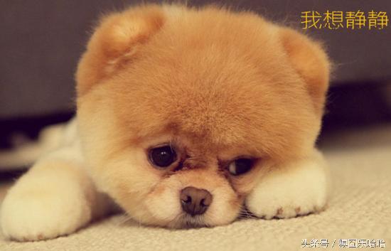 你特么要撸就去厕所撸啊!弄的我一身湿乎乎的