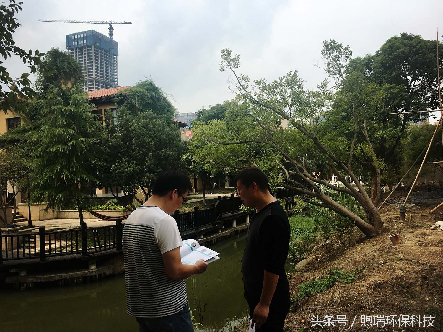 锦鲤鱼池花园庭院,最好看的长方形入户花园锦鲤鱼池