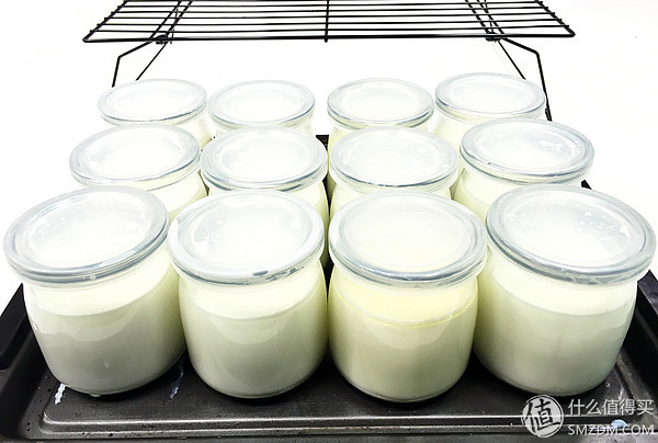 养出来的酸奶,比较好的酸奶发酵菌