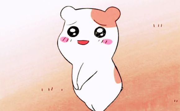 香味比较迷人的中草药,花期最漂亮的中草药