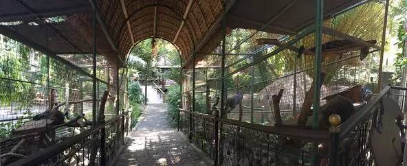 朋友圈发海边泳衣照好不好,朋友圈晒沙滩泳装