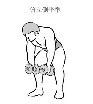 在家用哑铃锻炼背详细教学,瘦子在家哑铃锻炼全身肌肉