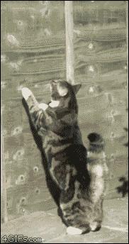 小孩搞笑gif,搞笑gif动图小孩子