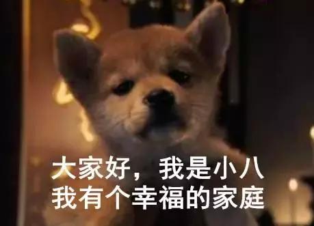 独家！教你如何带着宠物“坐“火车！