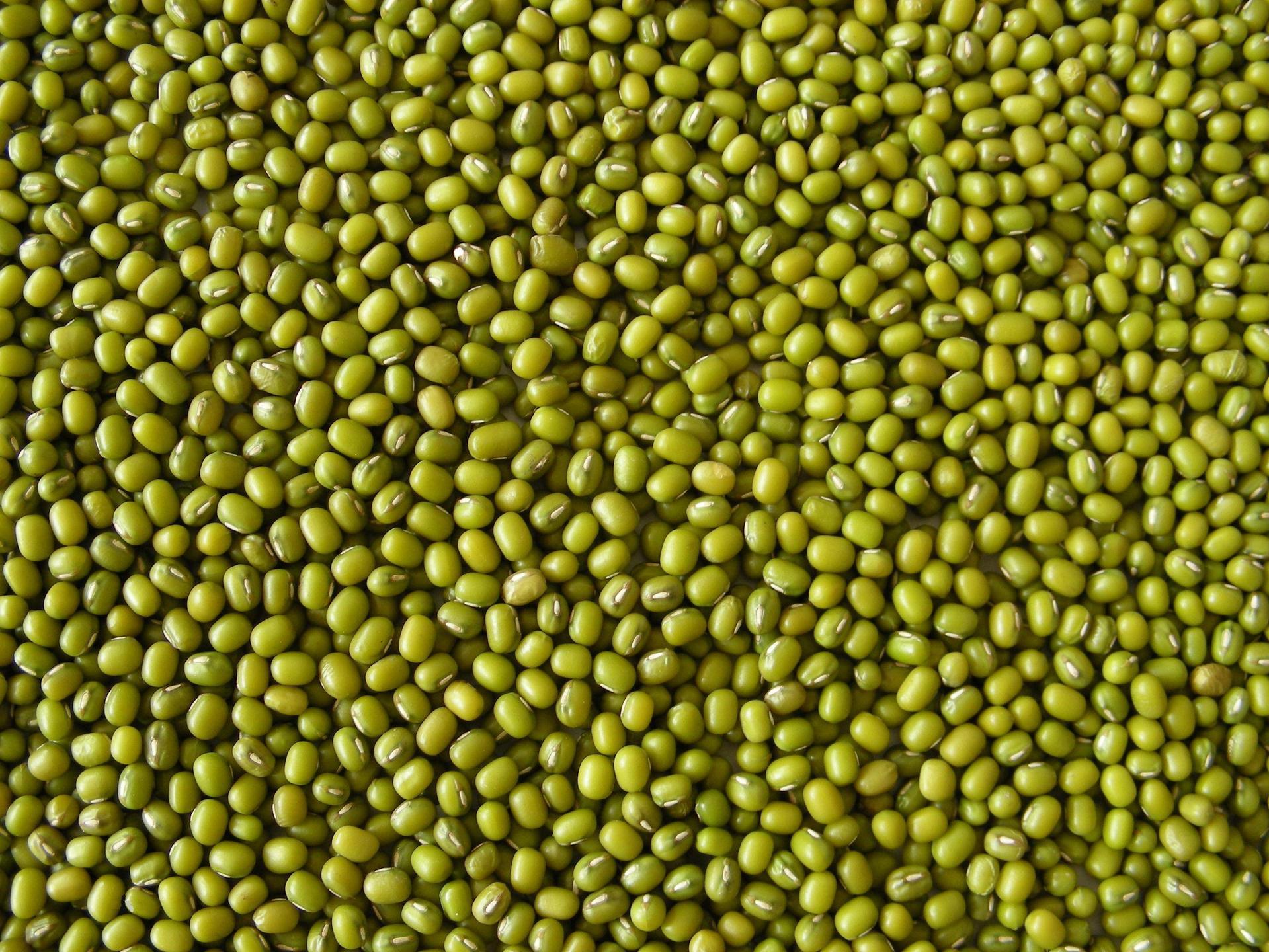 哪几款绿豆面膜最好,绿豆面膜控油补水