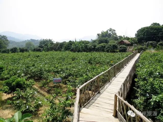 钦州周末出游攻略,钦州乡村旅游攻略