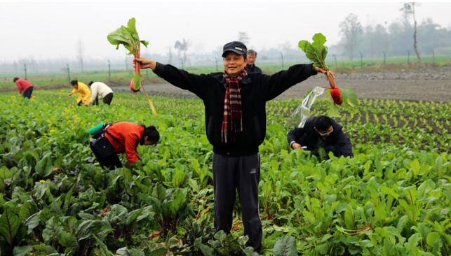 农村创业新点子十大暴利行业,2022创业的好项目农村