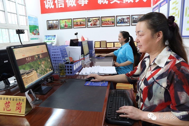 脱贫路上巾帼致富先锋,脱贫攻坚巾帼英雄