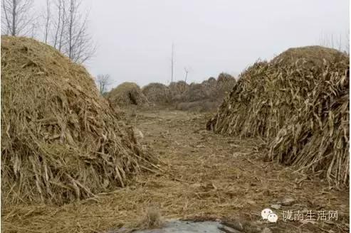 甘肃炕怎么烧,西北农村土炕的最新做法