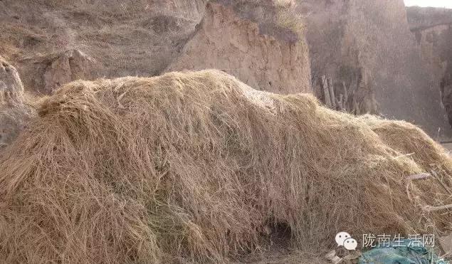 甘肃炕怎么烧,西北农村土炕的最新做法