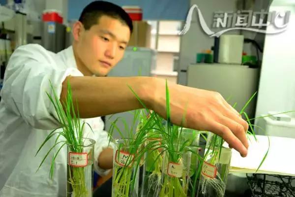 word天宽地窄,word天什么意思