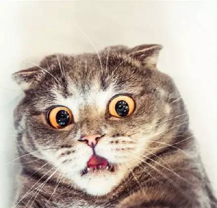 集成扣板墙面装修效果图,装修墙面用集成墙板好不好