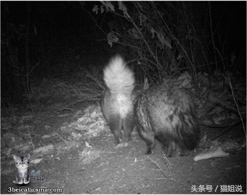 怀柔的北京生活,野性内蒙古