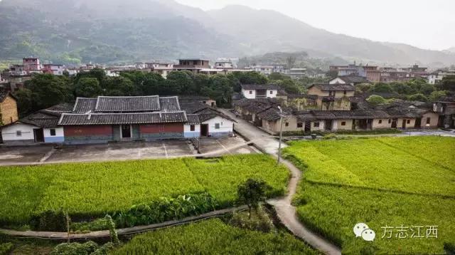 虽无黄金，遍地是金——寻访江西金溪县