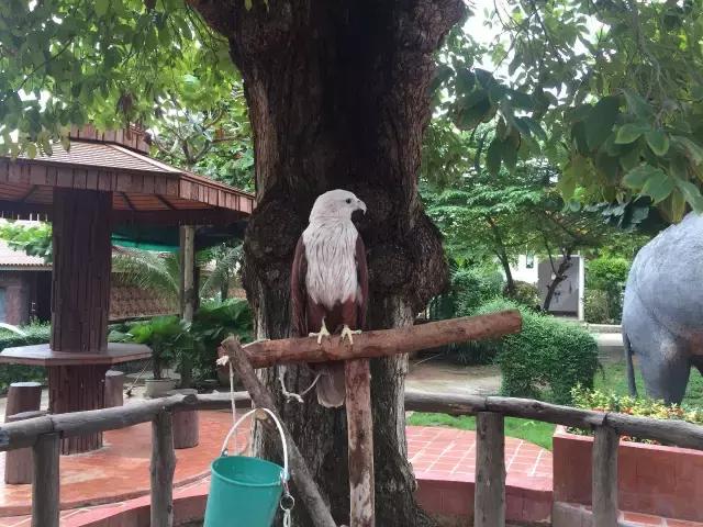 你不该错过的游戏,泰国自由行旅游攻略推荐