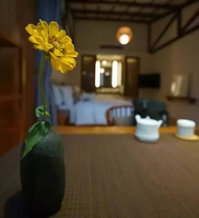 心宿旅舍,民宿推荐来一场说走就走的旅行