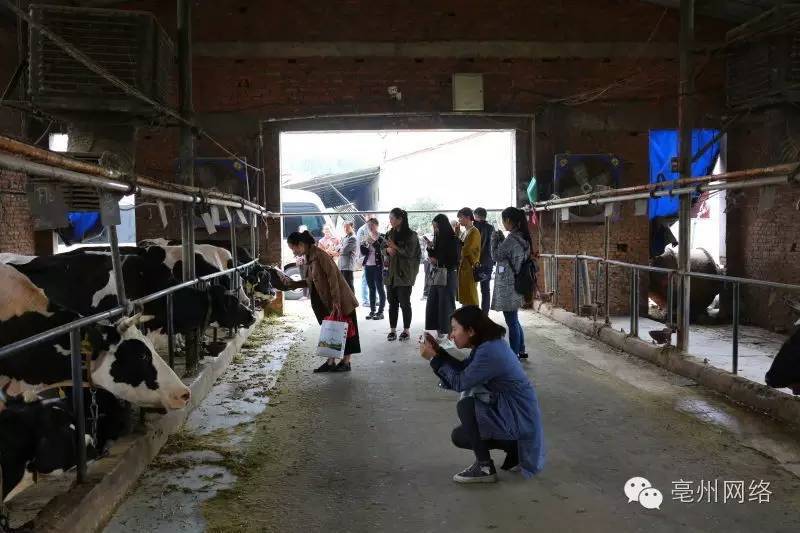 美丽安徽行视频,美丽安徽行齐云山