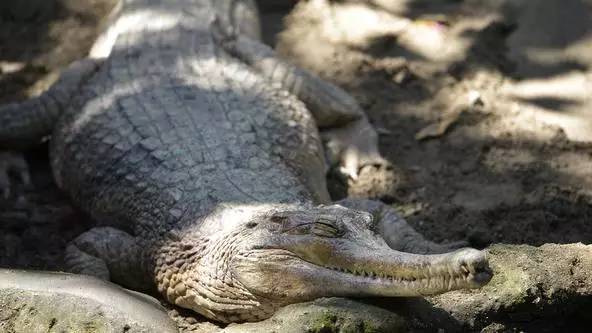 朋友圈发海边泳衣照好不好,朋友圈晒沙滩泳装