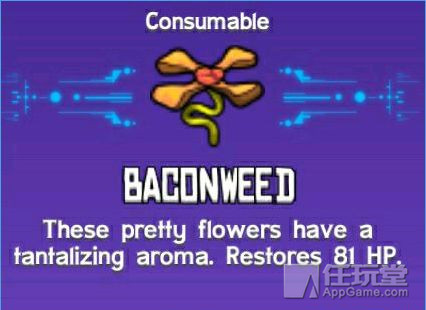 崩溃大陆炸鱼的道具叫什么,崩溃大陆材料出处大全