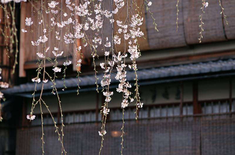 日本最忌讳的数字是,日本人不太喜欢哪些数字