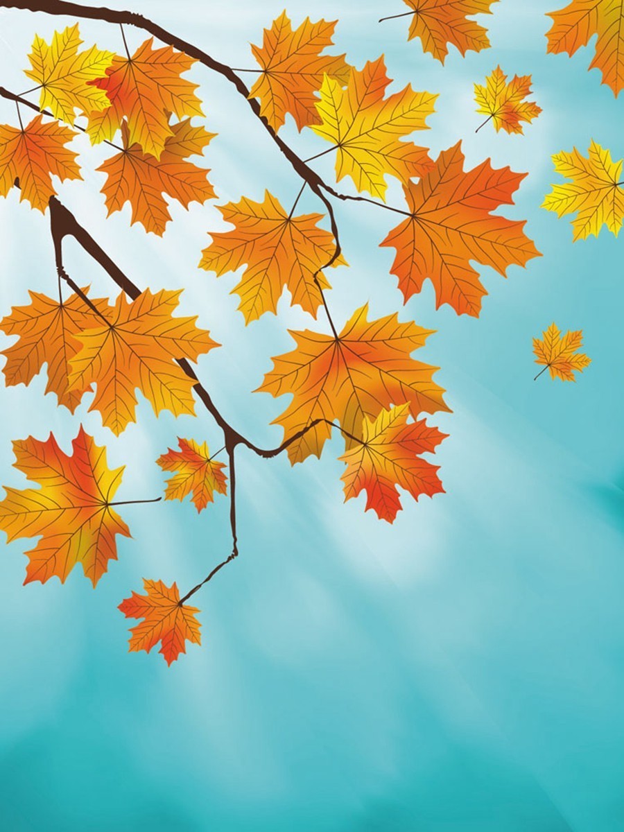 李云风作品集,李云风的小说